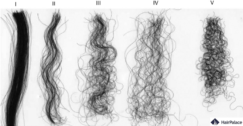 Understanding Hair Types - Guide to Hair Texture and Porosity Different hair types and textures showing straight wavy curly and coily hair varieties