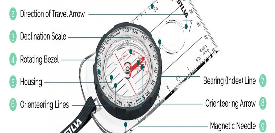 Detailed close-up view of a professional baseplate compass showing magnetized needle, rotating bezel with degree markings, transparent baseplate, direction-of-travel arrow, and orienting lines for accurate wilderness navigation training - InfoProds 2026