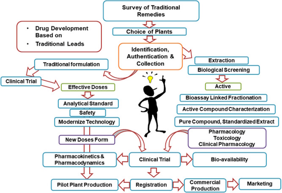 Modern scientific research laboratory analyzing medicinal herbs for nervous system support showing convergence of traditional herbal wisdom and contemporary neuroscience validation - phytochemical analysis equipment and plant extracts - InfoProds 2026 evidence-based herbal medicine guide
