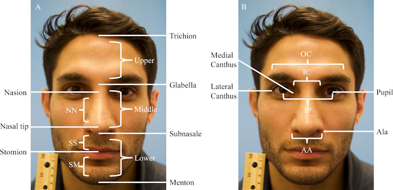 Demonstration of how different camera lenses and shooting angles dramatically alter facial proportions showing the optical manipulation techniques influencers employ to appear more attractive than their actual appearance - InfoProds 2026