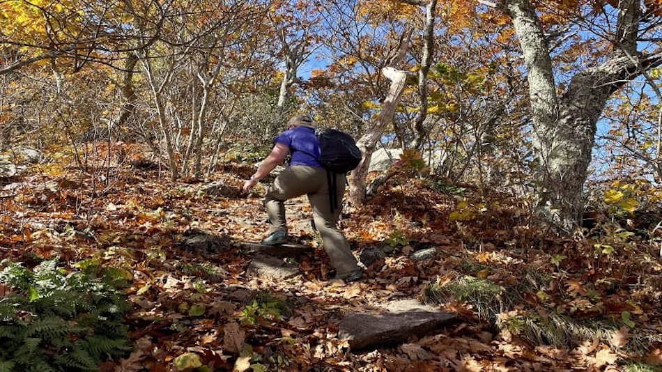 Group of hikers on shaded forest trail during early morning hours demonstrating strategic timing to avoid dangerous midday heat and reduce heatstroke risk through smart trail planning and schedule optimization for summer wilderness recreation - InfoProds 2026