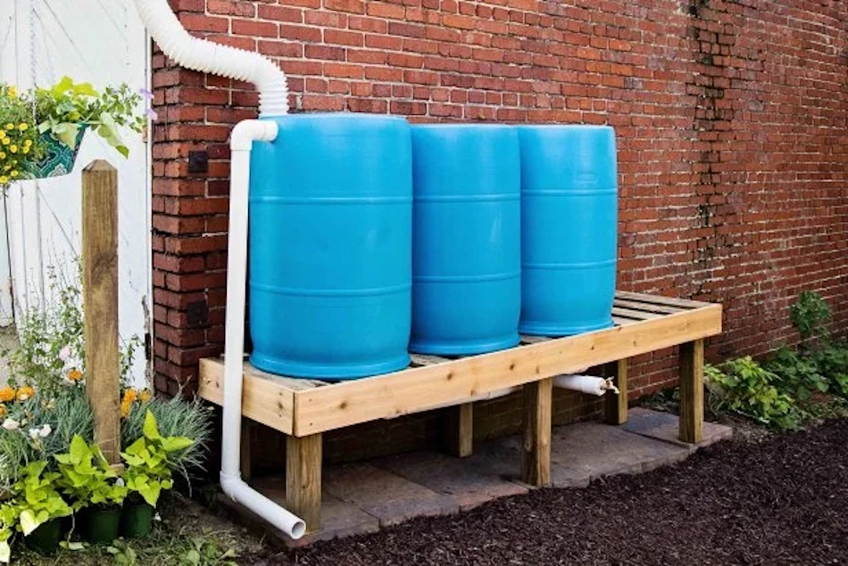 Professional rain barrel water collection system strategically positioned behind residential garage structure with natural vegetation concealment for discrete rainwater harvesting installation - InfoProds Home Solutions Guide 2026