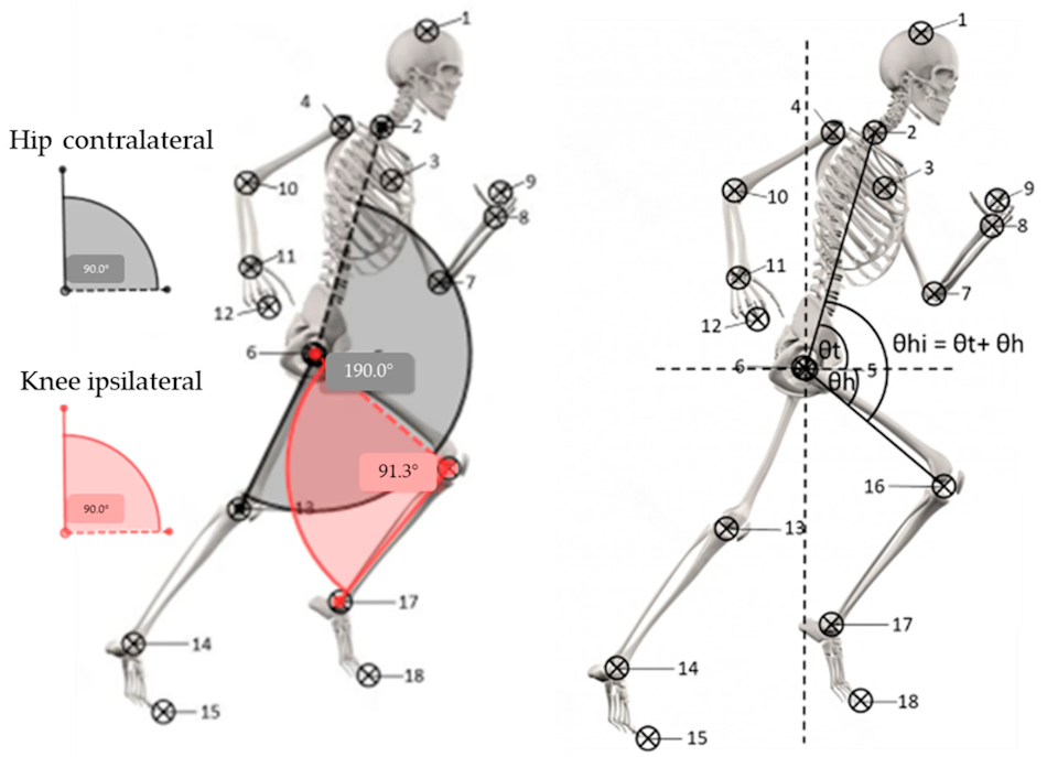 Athletic track sprinter showing optimal head position and torso angle during maximum velocity phase demonstrating biomechanical principles of elite sprint performance - Track and field coaching resources InfoProds 2026