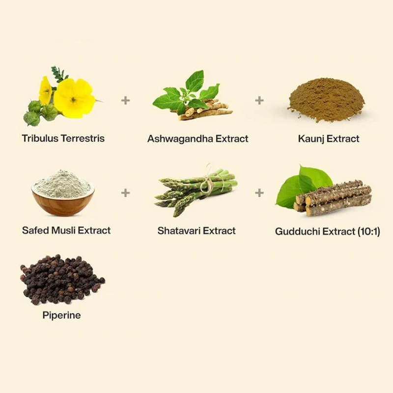 Collection of natural herbs including ashwagandha root, fenugreek seeds, turmeric powder, ginseng, and cordyceps mushrooms with mortar and pestle showing herbal supplements for muscle development - InfoProds 2026