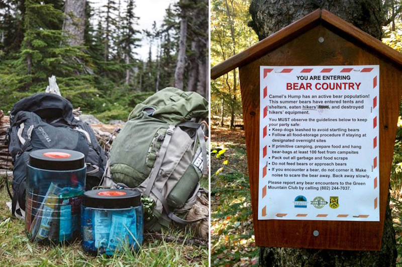 Proper bear proof food storage using approved containers and hanging techniques preventing dangerous wildlife encounters during wilderness camping - InfoProds 2026